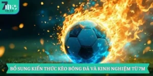 Bổ Sung Kiến Thức Kèo Bóng Đá Và Kinh Nghiệm Từ 7M 8 Bổ Sung Kiến Thức Kèo Bóng Đá Và Kinh Nghiệm Từ 7M