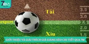 Giới Thiệu Và Giải Thích Giá Giảng Kèo Chi Tiết Qua 7m 7 Giới Thiệu Và Giải Thích Giá Giảng Kèo Chi Tiết Qua 7m