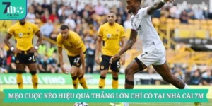 Mẹo Cược Kèo Hiệu Quả Thắng Lớn Chỉ Có Tại Nhà Cái 7m 12 Mẹo Cược Kèo Hiệu Quả Thắng Lớn Chỉ Có Tại Nhà Cái 7m