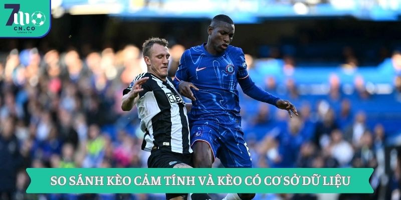 Mẹo Cược Kèo Hiệu Quả Thắng Lớn Chỉ Có Tại Nhà Cái 7m 7 So sánh kèo cảm tính và kèo có cơ sở dữ liệu