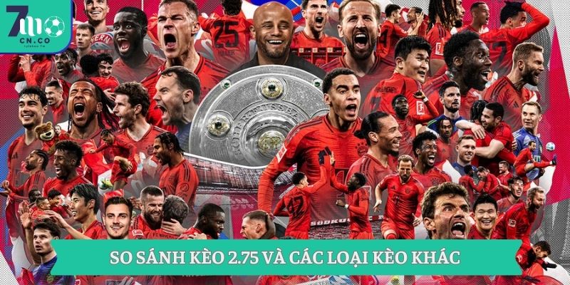 Mẹo Soi Kèo 7m Cho Bet Thủ Thành Công Ngay Lần Đầu 8 So sánh kèo 2.75 và các loại kèo khác